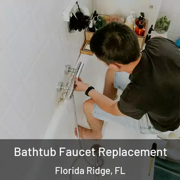  Bathtub Faucet Replacement Florida Ridge, FL