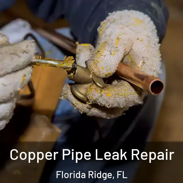  Copper Pipe Leak Repair Florida Ridge, FL