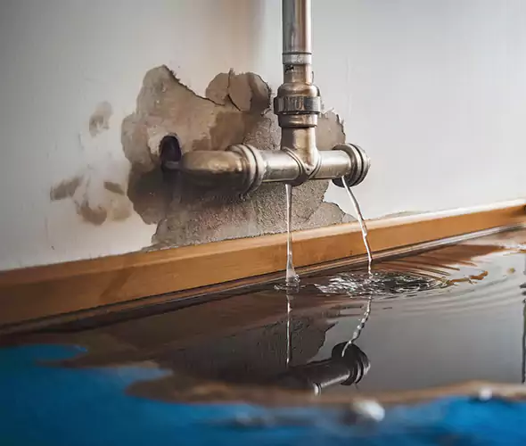 Professional Water Damage Restoration Experts in Florida Ridge, FL — Fast, Reliable & Certified