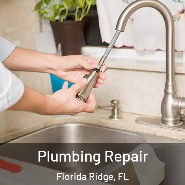  Plumbing Repair Florida Ridge, FL