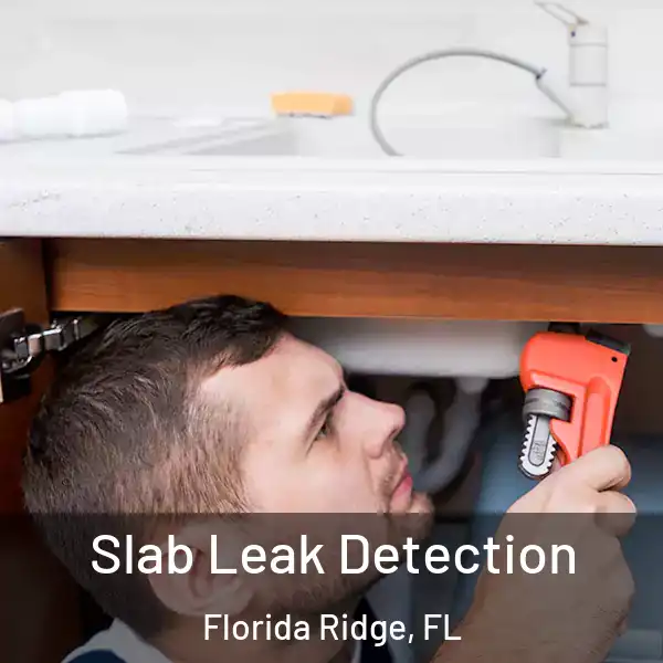  Slab Leak Detection Florida Ridge, FL