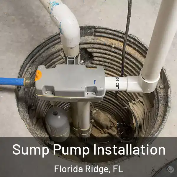 Sump Pump Installation Florida Ridge, FL