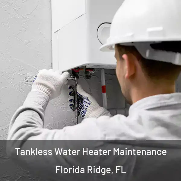  Tankless Water Heater Maintenance Florida Ridge, FL