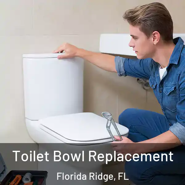  Toilet Bowl Replacement Florida Ridge, FL