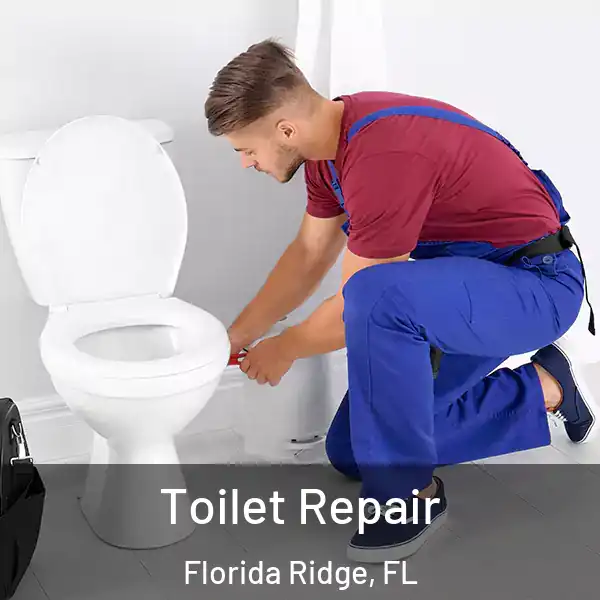  Toilet Repair Florida Ridge, FL