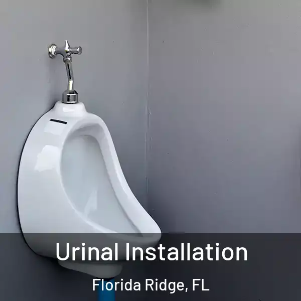  Urinal Installation Florida Ridge, FL